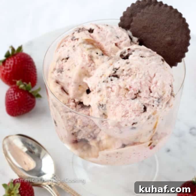 Chocolate Cookie Strawberry Caramel Swirl Ice Cream 6 Strawberry Caramel Swirl Chocolate Cookie Ice Cream