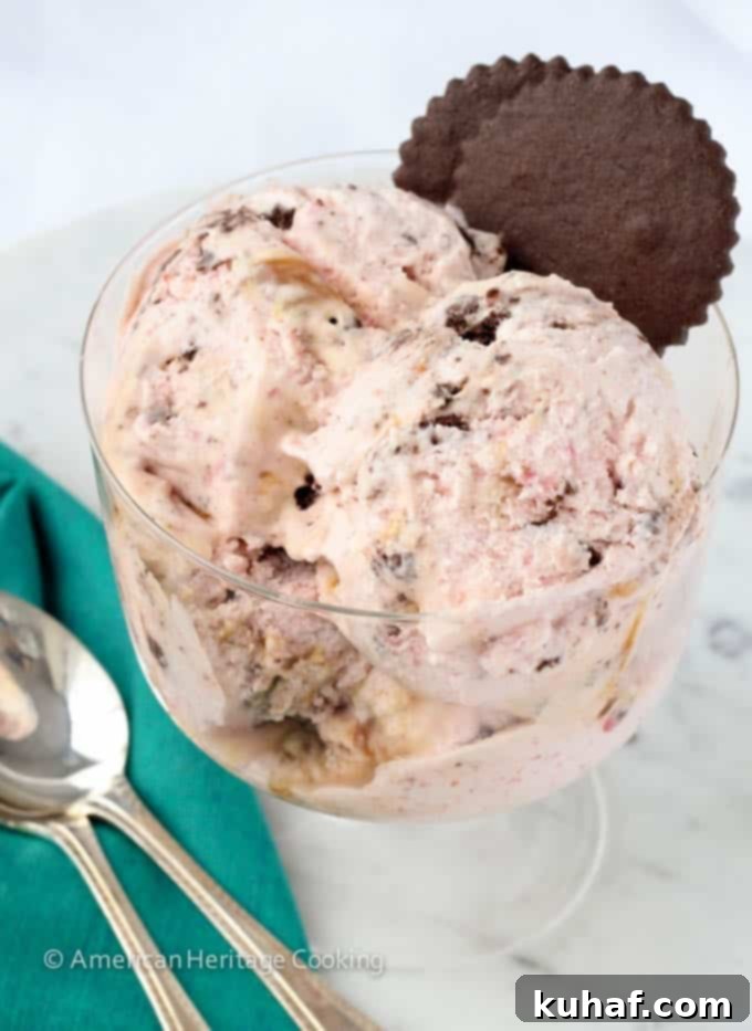 Chocolate Cookie Strawberry Caramel Swirl Ice Cream 9 Strawberry Caramel Swirl Chocolate Cookie Ice Cream