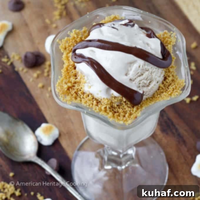 A scoop of Toasted Marshmallow Smores Ice Cream in a bowl with graham cracker crumbs and toasted marshmallows on top