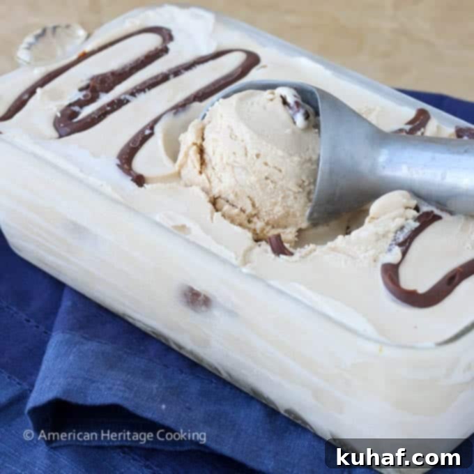 Close-up of Toasted Marshmallow Smores Ice Cream showing its creamy texture and visible marshmallow bits