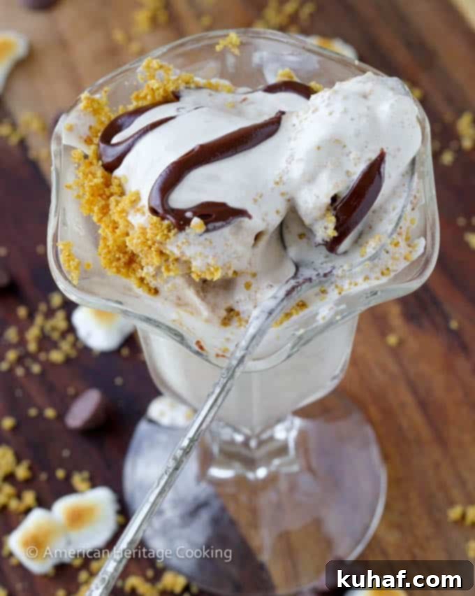 A close-up of the smooth, rich texture of Toasted Marshmallow Smores Ice Cream before garnishing