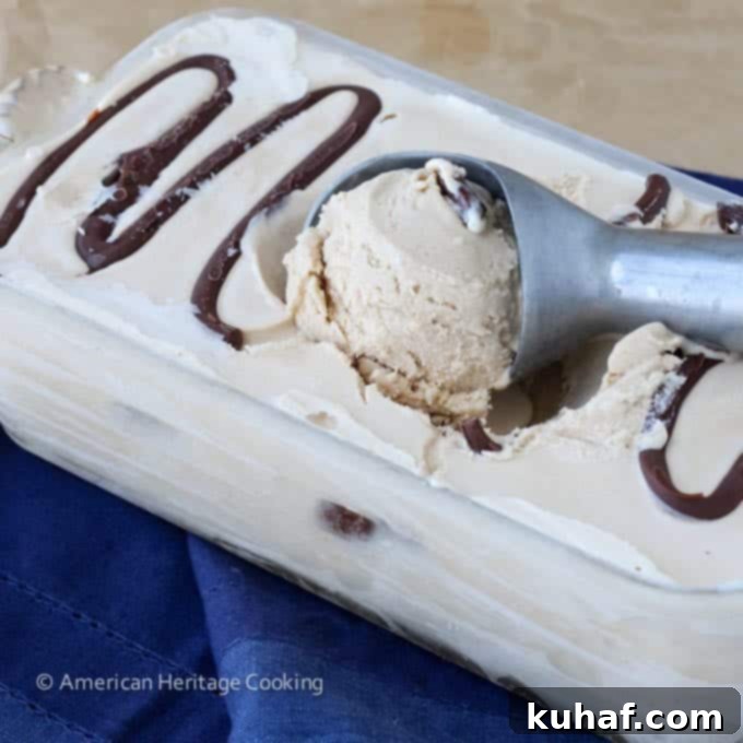Ingredients for Toasted Marshmallow Smores Ice Cream laid out on a kitchen counter