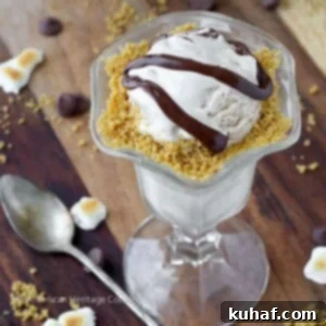 Toasted Marshmallow Smores Ice Cream