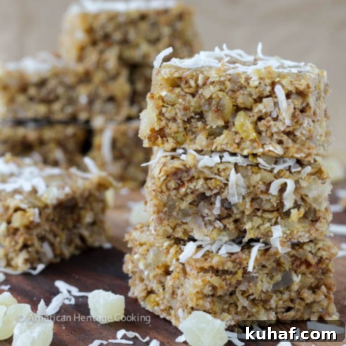 Island Oasis Oat Bars 2 Healthy Tropical Oat Bars {Vegan, GF} - Delicious and nutritious