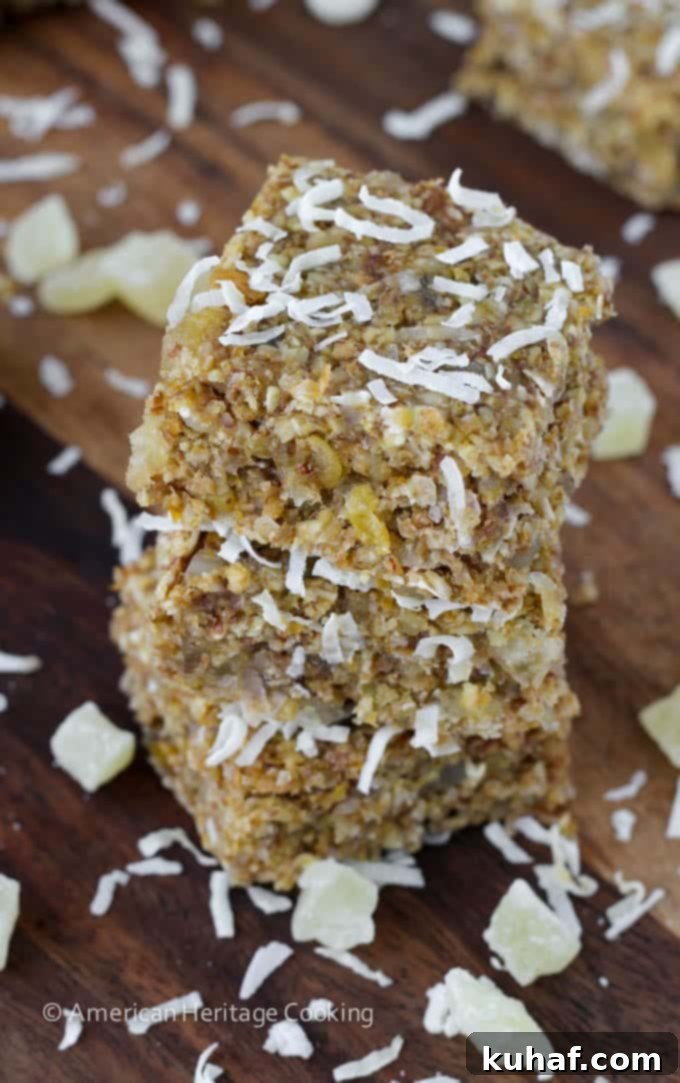 Island Oasis Oat Bars 3 Healthy Tropical Oat Bars with apricot base