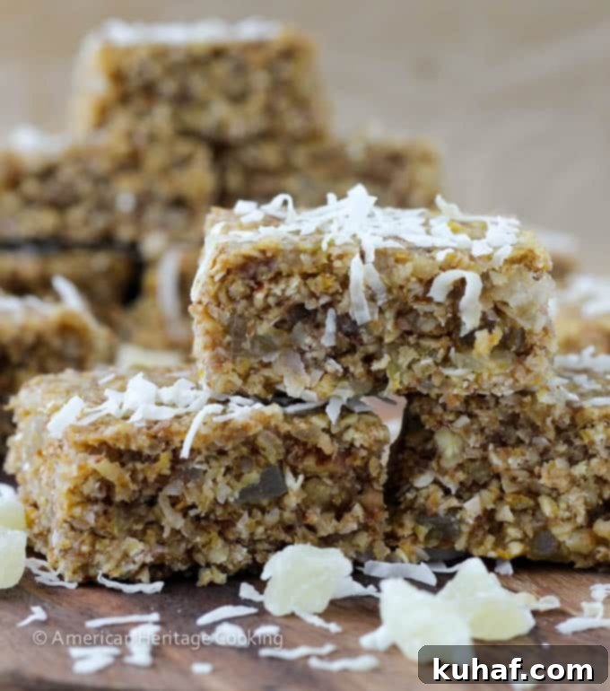 Island Oasis Oat Bars 4 Healthy Tropical Oat Bars Sideview - vegan and gluten-free option