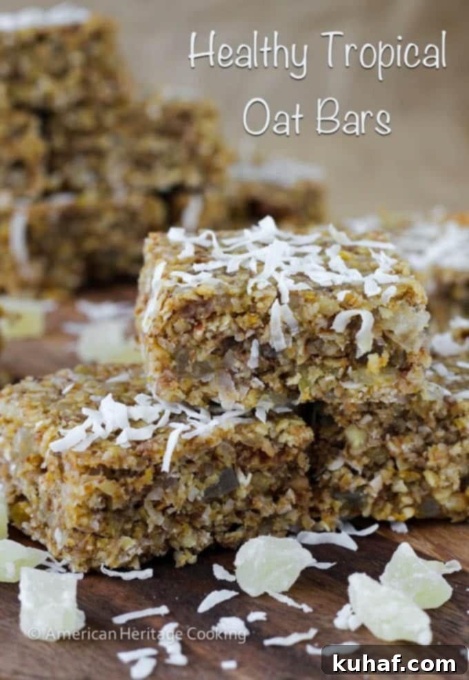 Island Oasis Oat Bars 6 Healthy Tropical Oat Bars {Vegan, GF}
