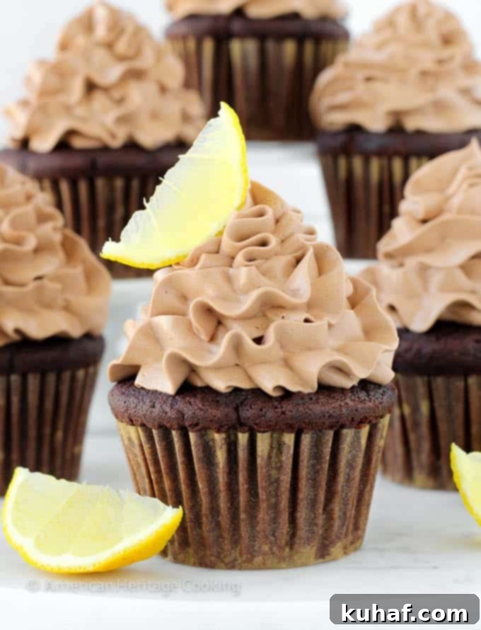 Velvet Chocolate, Citrus Burst Cupcakes 5 Double Chocolate Lemon Surprise Cupcakes - Single decorated cupcake