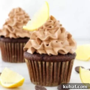 Velvet Chocolate, Citrus Burst Cupcakes 6 Double Chocolate Lemon Surprise Cupcakes