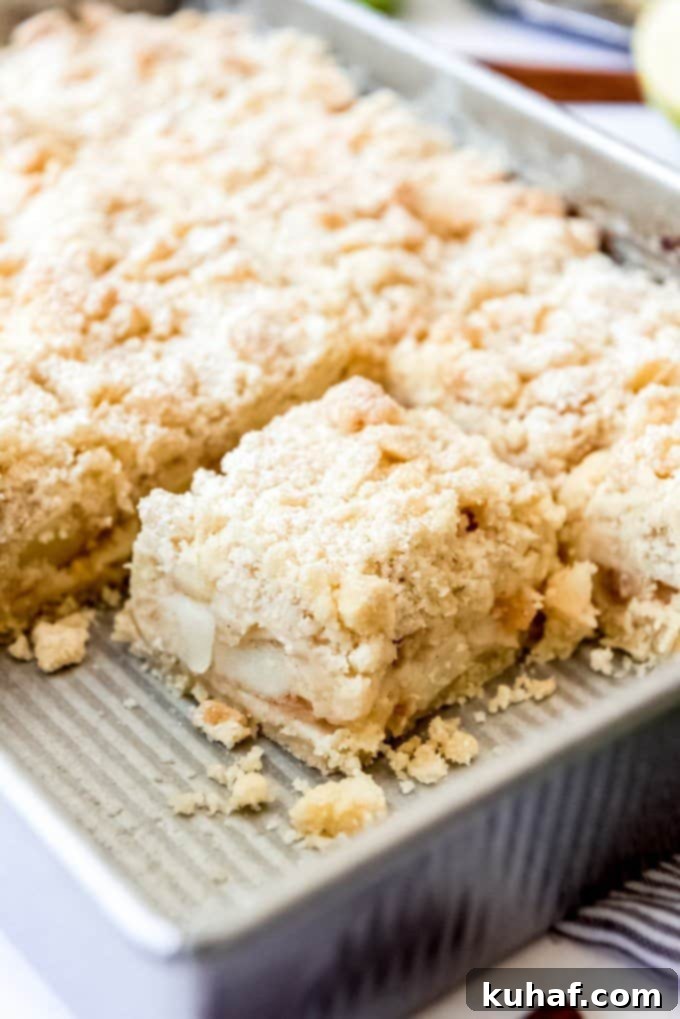 A large slice of traditional German apple cake with streusel topping, visible in its baking pan.