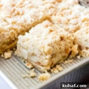 A close-up slice of German apple cake with a beautiful streusel topping, sitting in its pan.
