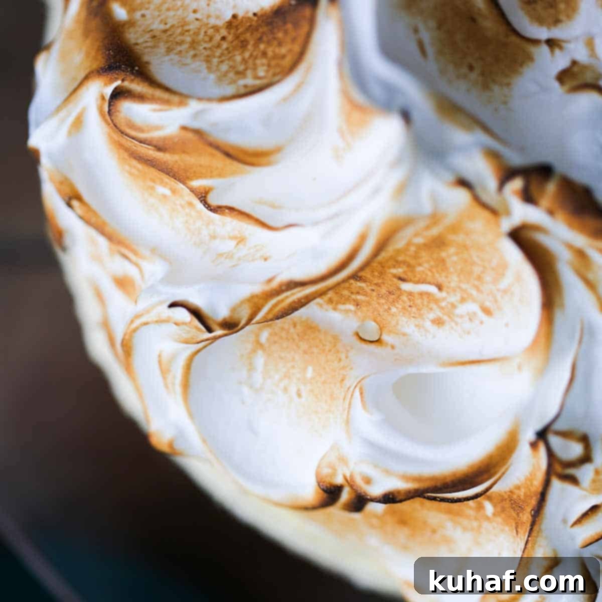 toasted swooshes of meringue.