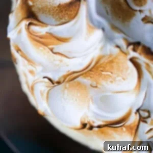 toasted swooshes of meringue.