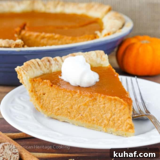 Classic Pumpkin Pie with a Twist | My new favorite pumpkin recipe has lemon zest, spices, vanilla and brown sugar! So amazing! 