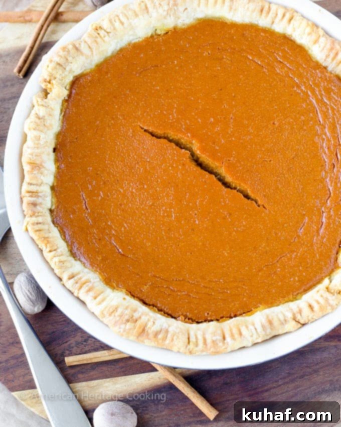 Classic Pumpkin Pie with a Twist | My new favorite pumpkin recipe has lemon zest, spices, vanilla and brown sugar! So amazing! 