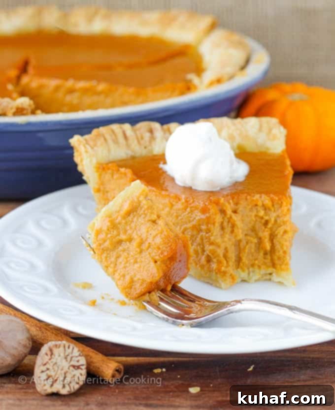Classic Pumpkin Pie with a Twist | My new favorite pumpkin recipe has lemon zest, spices, vanilla and brown sugar! So amazing! 