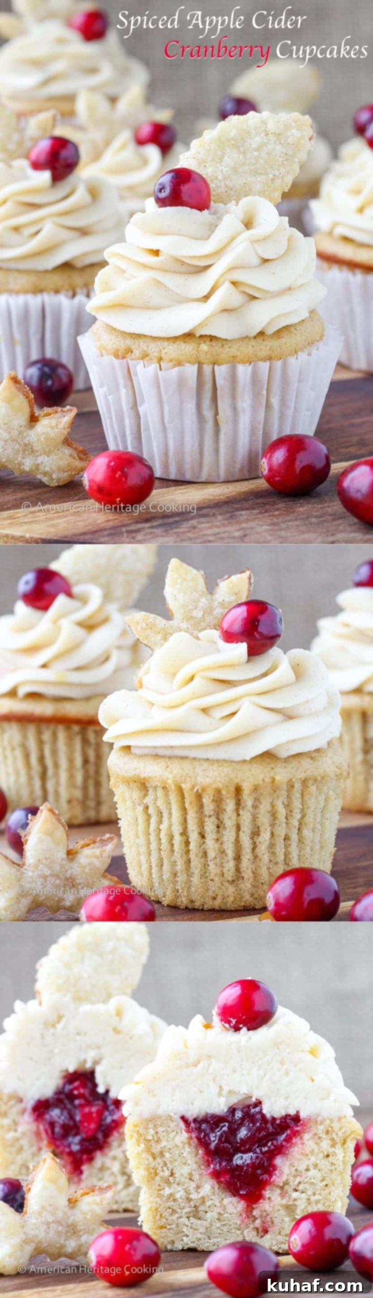 Delicious and festive Spiced Apple Cider Cranberry Cupcakes, ready to be served.