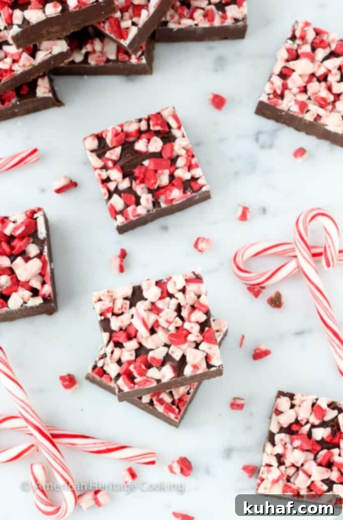 Close-up of Dark Chocolate Peppermint Fudge, showing the glossy, rich texture and embedded peppermint pieces.