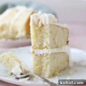 slice of vanilla cake upright on plate interior texture detail.