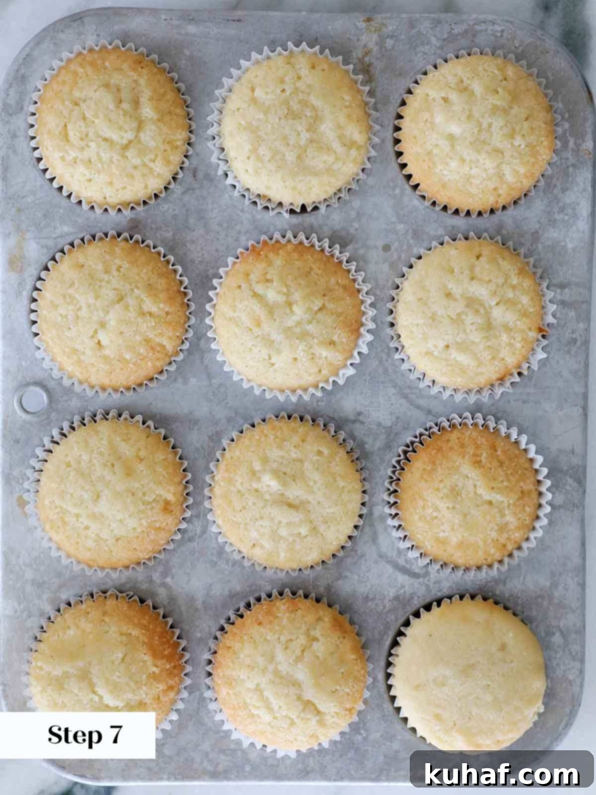 Freshly baked vanilla cupcakes in a metal muffin tin, golden brown and perfectly risen.
