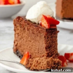 chocolate cheesecake with bite on fork.