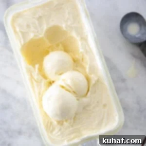 vanilla ice cream in vintage glass loaf pan.