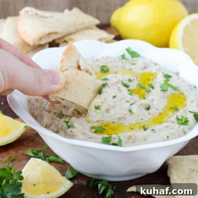 Baba Ganoush 5 A rustic presentation of Baba Ganoush with fresh parsley and olive oil, emphasizing its homemade appeal.