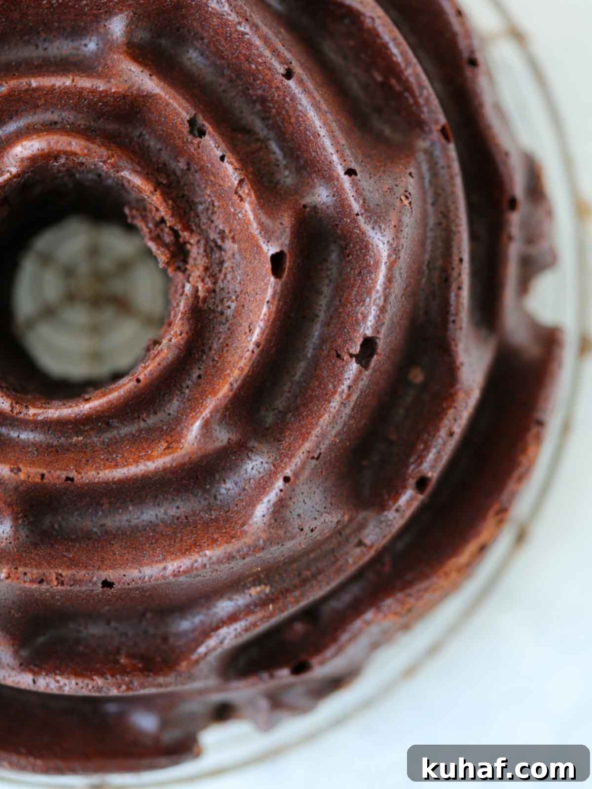 unadorned chocolate rose bundt cake.