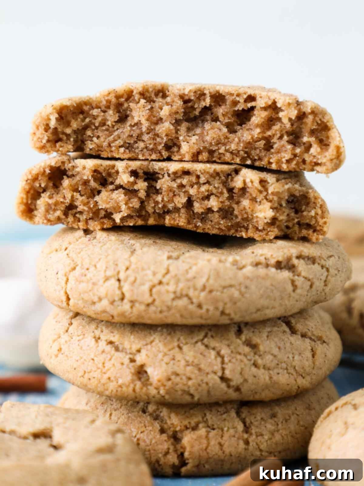 Warm Spiced Sugar Delights 2 A stack of golden brown cinnamon sugar cookies with visible sugar and spice