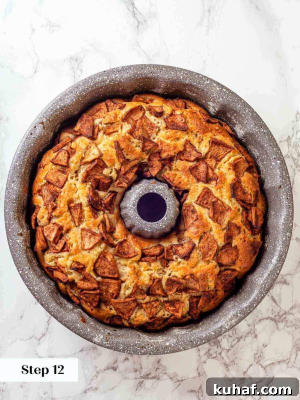 Jewish Apple Cake 11 A perfectly baked Jewish apple cake, golden brown and glistening, fresh out of the oven in its tube pan.