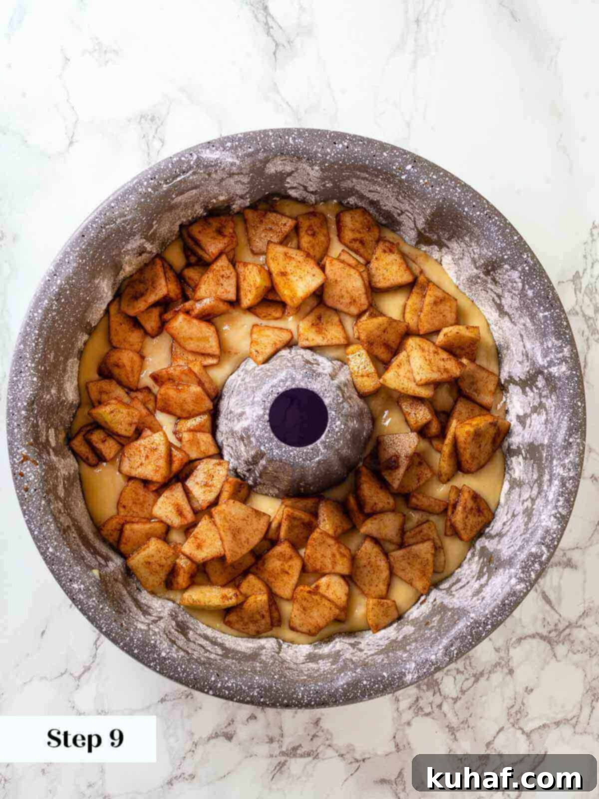 Jewish Apple Cake 8 The first layer of spiced apples carefully arranged on top of the cake batter in a tube pan.