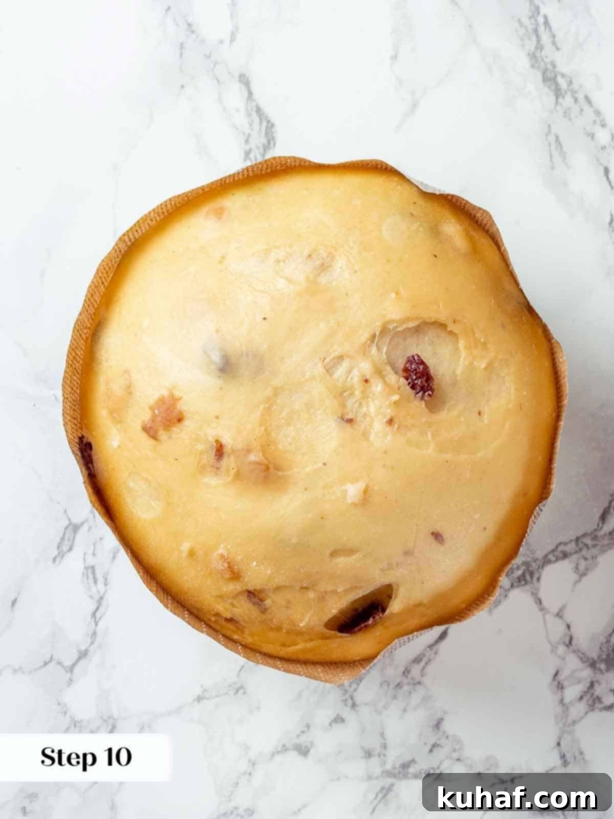 Panettone dough, perfectly proofed and expanded within its paper mold, showcasing its readiness for baking.