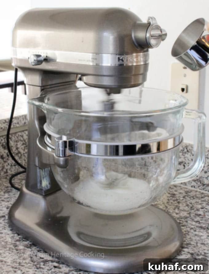 A silver stand mixer with a clear bowl, showing egg whites ready to be whipped.