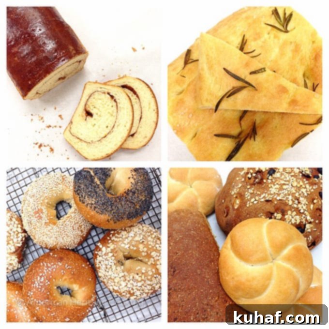 My Culinary School Progress: Episode Three 14 Culinary School Update Part 3 : Bread Collage