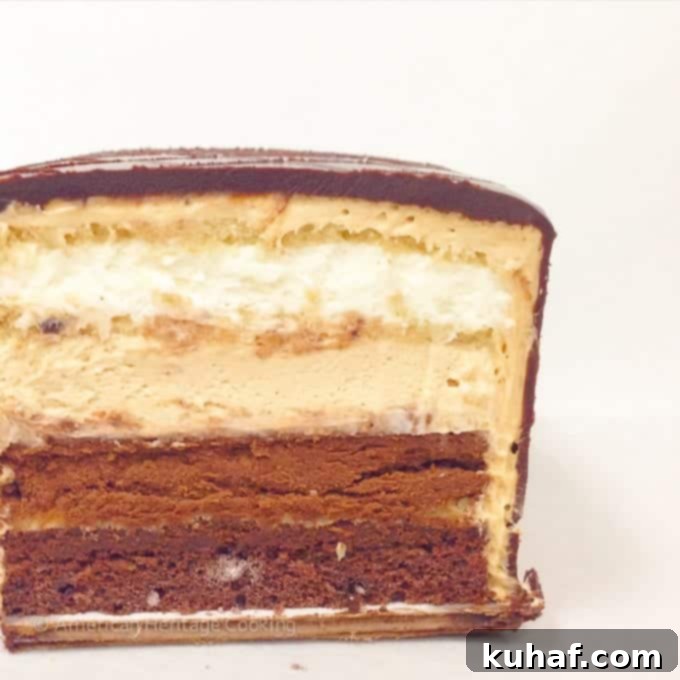My Culinary School Progress: Episode Three 5 Culinary School Update Part 3 : Marjolain (aka layers of chocolate, cake and all sorts of awesome)
