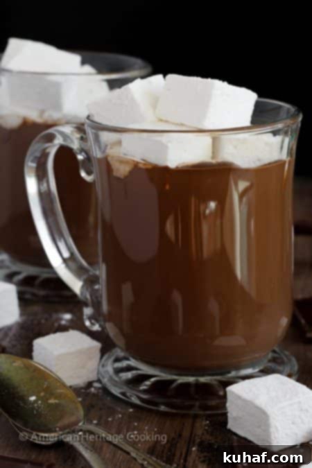 Decadent Hot Chocolate Bliss 2 A mug filled with incredibly rich, creamy, and silky hot chocolate, topped with giant homemade marshmallows, ready to be enjoyed.