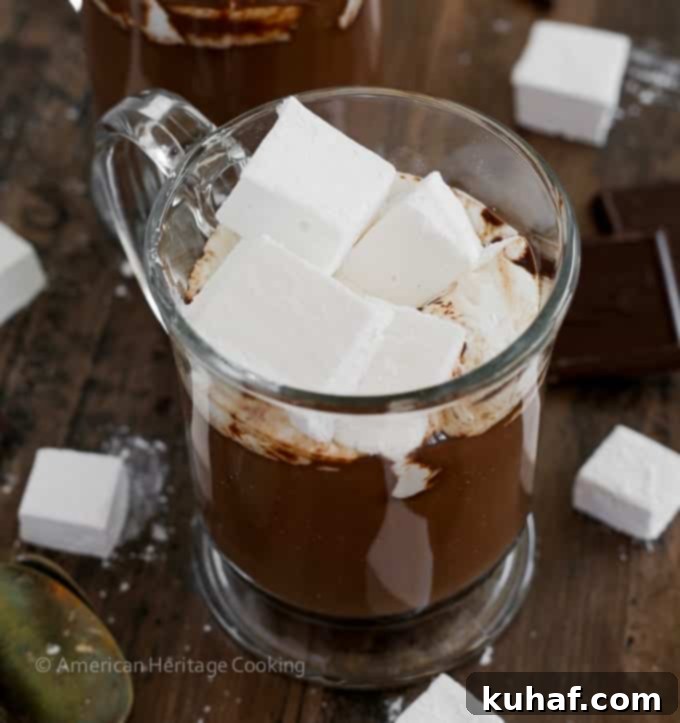 Decadent Hot Chocolate Bliss 7 The Best Hot Chocolate, perfectly poured into a mug, showing its luxurious consistency and deep color before adding toppings.