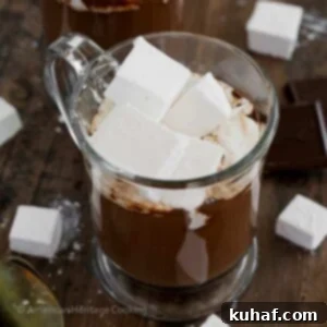 Decadent Hot Chocolate Bliss 10 The BEST Hot Chocolate: A mug of rich, creamy, and silky hot chocolate, ready for serving.