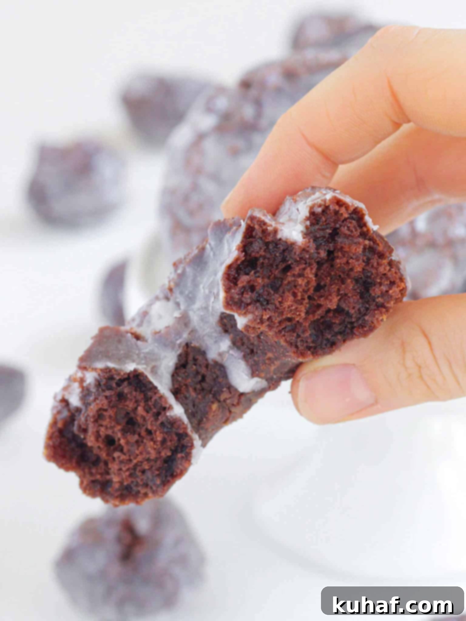 Chocolate Cake Donut Handheld.
