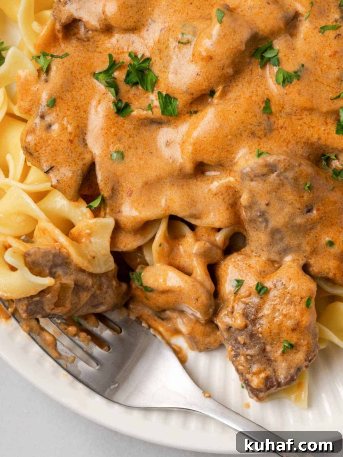 Delicious beef stroganoff with egg noodles on a white plate, ready to be enjoyed.