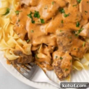 Beef stroganoff with egg noodles being lifted by a fork, close up.