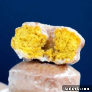 Pumpkin Spice Cake Donuts details