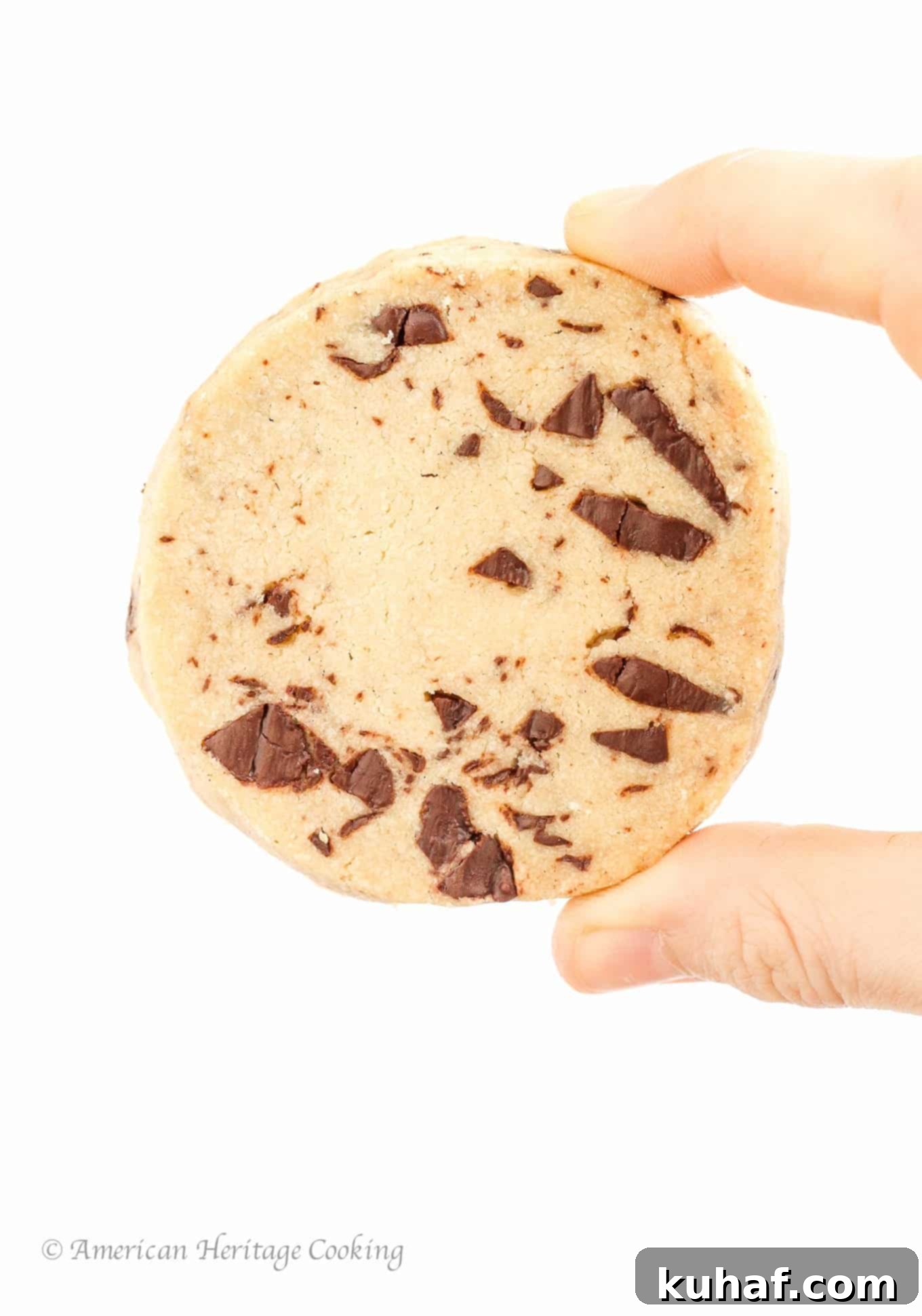 A perfectly baked chocolate chip shortbread cookie held in a hand, showcasing its delightful texture and visible chocolate chips.