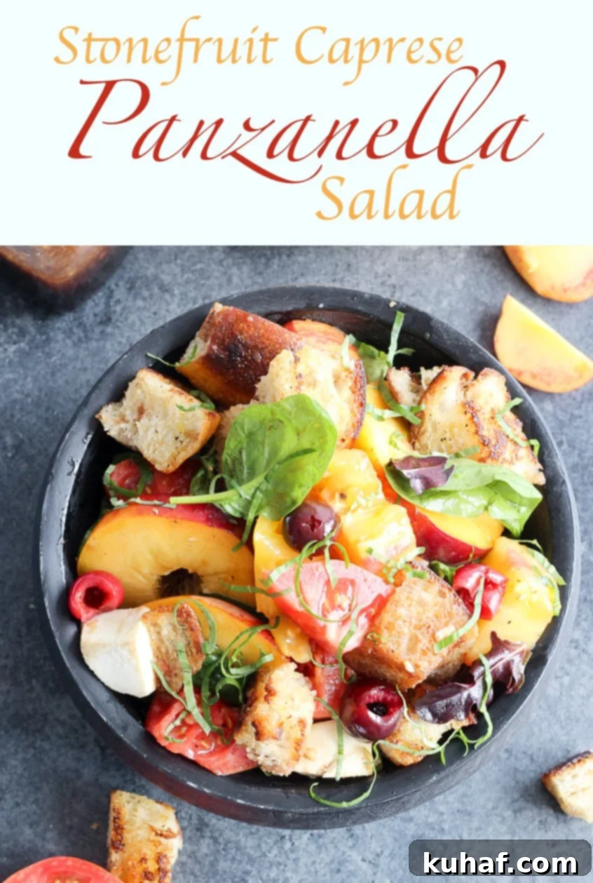 Sun-Kissed Stone Fruit Caprese Panzanella 6 Overhead shot of Stone Fruit Caprese Panzanella Salad with a vibrant mix of colors