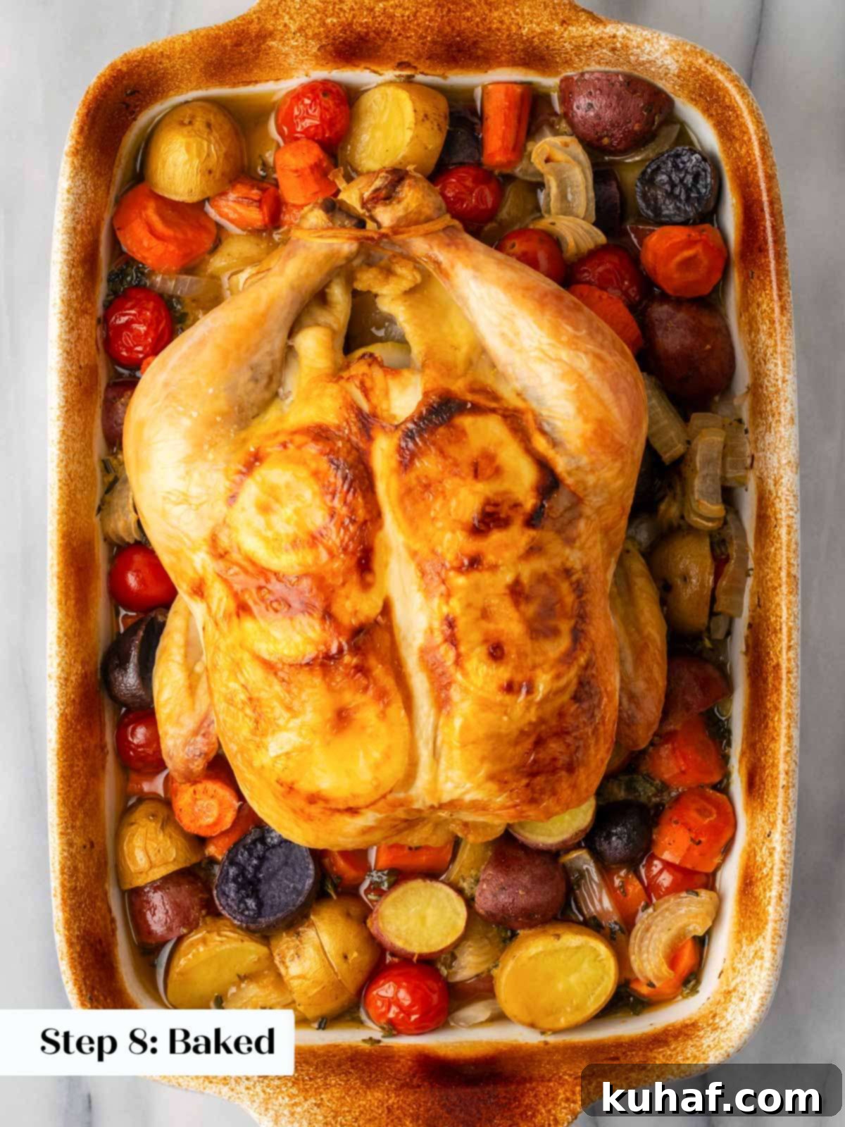 fully baked chicken in dish with roasted vegetables.
