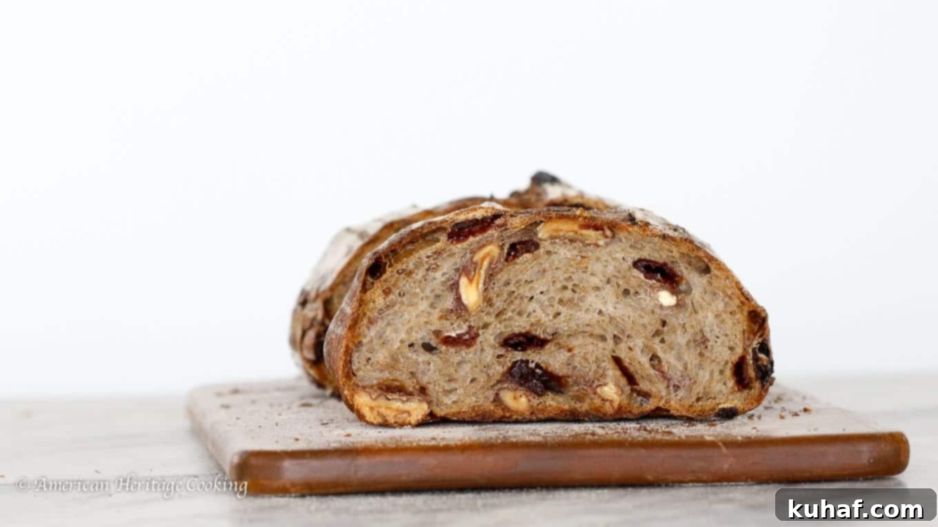 A rustic loaf of Cherry Pecan Sourdough Bread, showcasing its chewy texture, dried cherries, and toasted pecans within a beautifully browned crust.