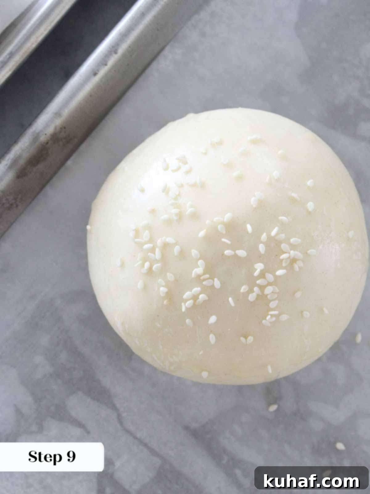 sesame seeds sprinkled on proofed bun.