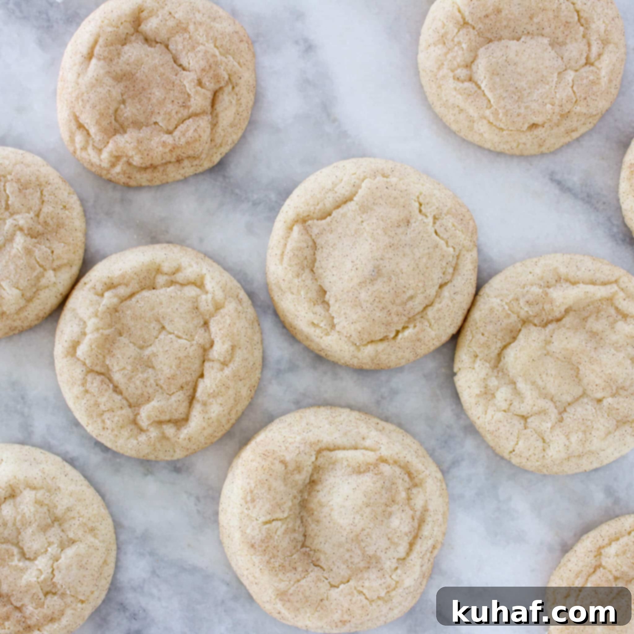 Ultimate Snickerdoodle Cookies 5 Snickerdoodle Cookies artfully arranged on a marble background.