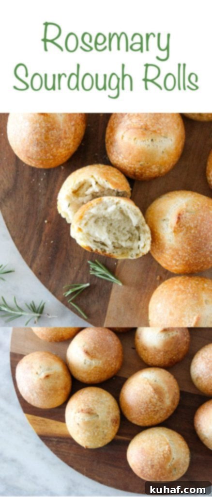 Artisan Rosemary Sourdough Rolls 6 Rosemary Sourdough Rolls with a perfect crust and soft interior