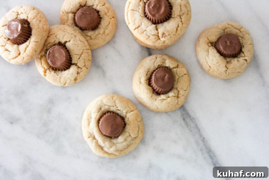 Peanut Butter Cup Delights 2 Close-up of a freshly baked Peanut Butter Cup Blossom cookie with a Reese's Mini Peanut Butter Cup pressed into its center, showcasing its chewy texture and sugary coating.